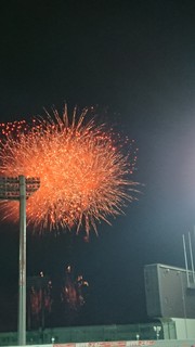 DSC_0208.JPG