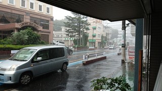 DSC_0223.JPG
