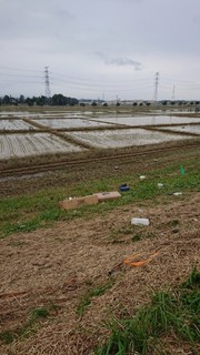 DSC_0309.JPG