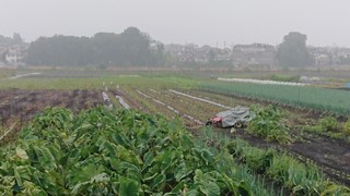 DSC_0341.JPG