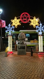 DSC_0992.JPG