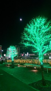 DSC_1124.JPG