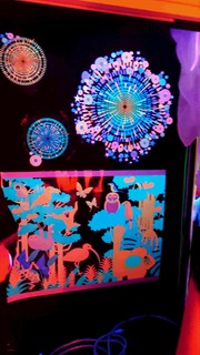 DSC_1671.JPG