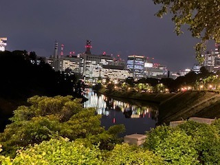 IMG_2541.jpg
