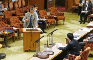 image1.jpeg